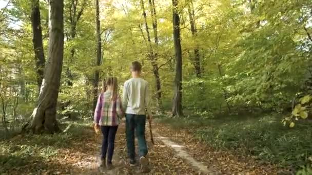Δύο Παιδιά Περπατούν Χέρι Χέρι Στο Δάσος Του Φθινοπώρου Έντονα — Αρχείο Βίντεο