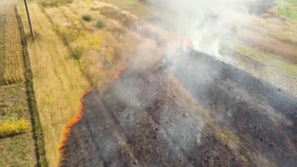 Vue aérienne de l'herbe brûlée dans le champ.
