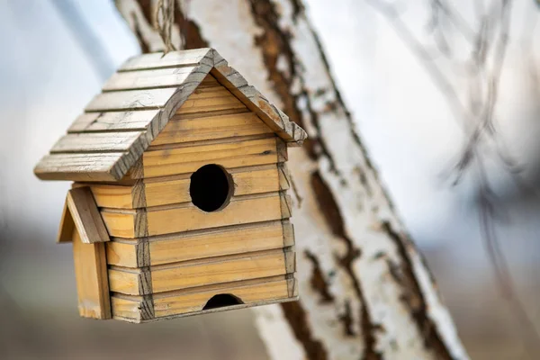 Kleines hölzernes Vogelhaus, das im Freien an einem Ast hängt. — Stockfoto