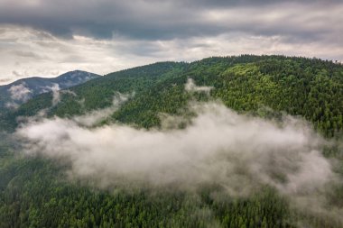 Yeşil Karpat Dağları 'nın havadan görünüşü