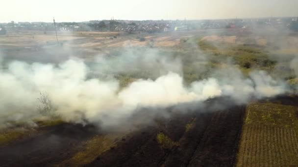 Vue aérienne de l'herbe brûlée dans le champ.