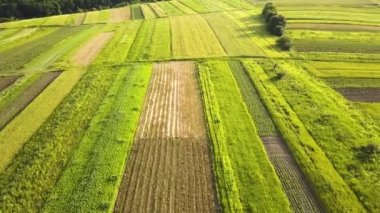 Tohum ekme mevsiminden sonra taze bitki örtüsüyle ilkbaharda yeşil tarım alanlarının havadan görünüşü.