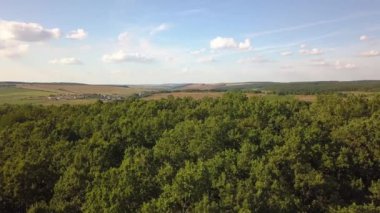 Yeşil yaz ormanlarının yukarıdan görünüşü ve bir sürü taze ağaç..