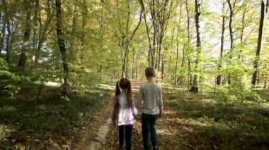 Two children walking holding hands in autumn forest with bright orange and yellow leaves. Dense woods in sunny fall weather.