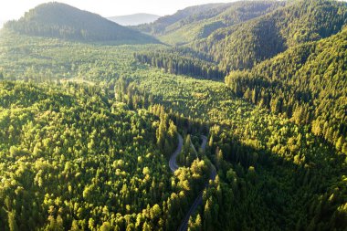 Yüksek dağdaki dolambaçlı yolun havadan görünüşü Yoğun yeşil çam ormanlarından geçer.