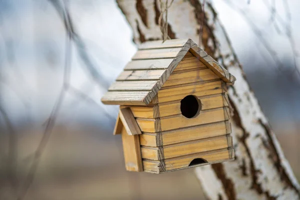 Pequeña Casa Pájaros Madera Colgando Una Rama Árbol Aire Libre —  Fotos de Stock