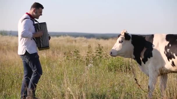 農家の男遊びアコーディオンに彼の最愛の友人牛で緑の牧草地フィールドで夏 — ストック動画