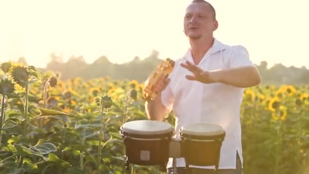 Homem Dançarino Feliz Tocando Pandeiro Dançando Energeticamente Campo Verão Verde — Vídeo de Stock