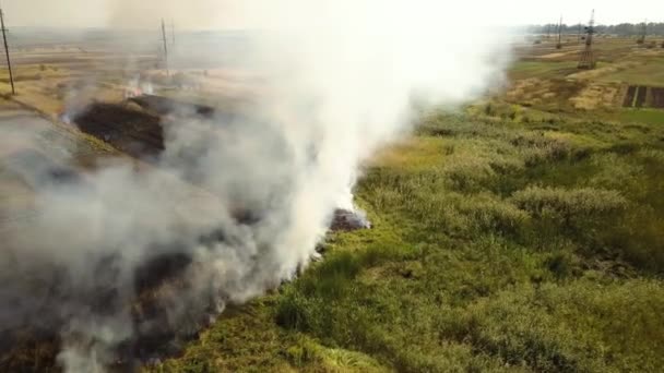 Vue aérienne de l'herbe brûlée dans le champ.