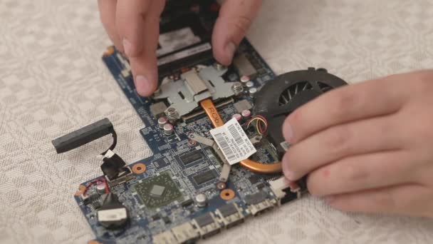 Closeup Technician Hands Repairing Laptop Computer Cooling System — Stock Video