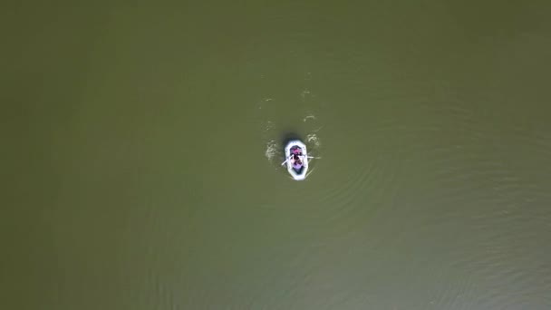 Letecký Pohled Mladého Muže Plavat Nafukovací Rafting Gumový Člun Vodní — Stock video