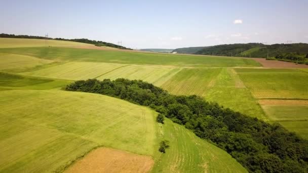 Letecký Pohled Zelená Zemědělská Pole Jaře Čerstvou Vegetací Výsevu — Stock video