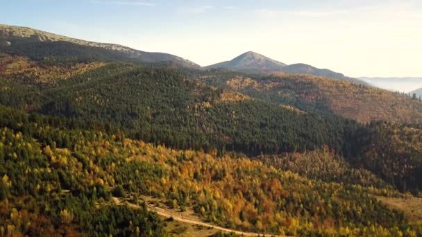 Veduta Aerea Del Paesaggio Montano Autunnale Con Pini Sempreverdi Foresta — Video Stock