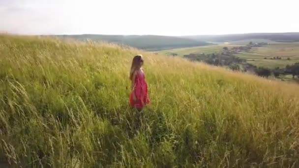 Mujer Yong Con Pelo Largo Vestido Rojo Caminando Campo Verano — Vídeos de Stock