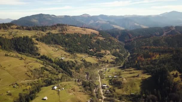 Вид Повітря Осінній Гірський Пейзаж Вічнозеленими Сосновими Деревами Жовтим Осіннім — стокове відео