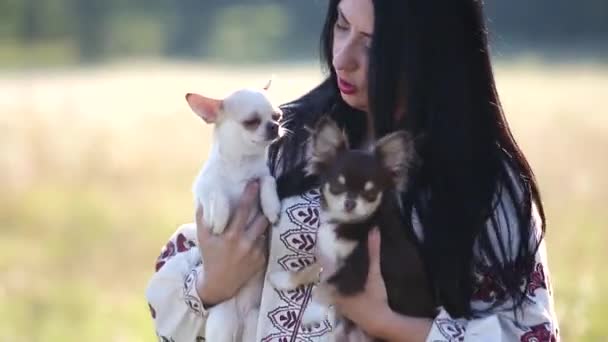 Μια Γυναίκα Που Κρατάει Δύο Μικρά Σκυλιά Στην Αγκαλιά Της — Αρχείο Βίντεο