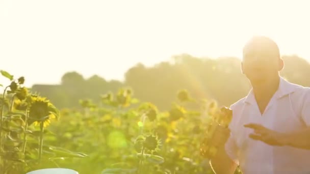 Homem Dançarino Feliz Tocando Pandeiro Dançando Energeticamente Campo Verão Verde — Vídeo de Stock