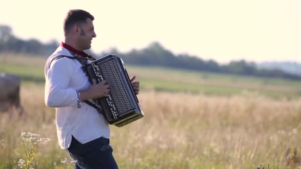 Farmer Gra Akordeonie Swojego Ukochanego Przyjaciela Krowy Zielonym Pastwisku Lecie — Wideo stockowe