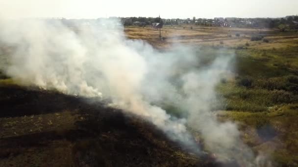 Vue aérienne de l'herbe brûlée dans le champ.