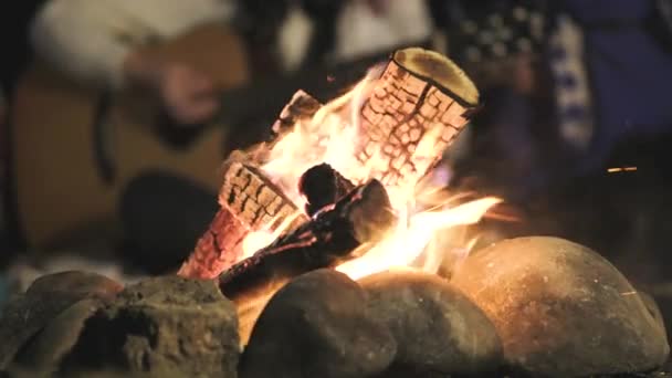 夜の野外でギターの歌を歌いながらたき火の近くに座って楽しんでいる人々のぼやけたグループ — ストック動画