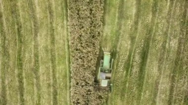 Buğday tarlasını hasat eden hasatçının hava görüntüsü. İHA görünümünden tarım.