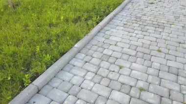 Park veya arka bahçede levha taş döşeli yol yakın çekim. Evin bahçe de Walkway patika yol.