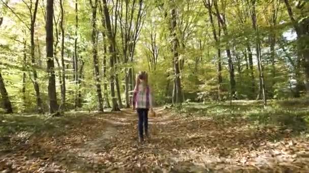 Enfant fille marchant tenant dans la forêt d'automne avec des feuilles orange vif et jaune. Bois denses par temps ensoleillé d'automne .
