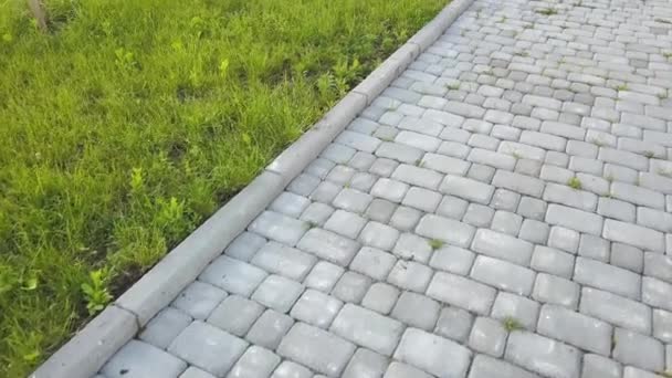 Крупный План Плитного Камня Асфальтированный Путь Парке Заднем Дворе Пешеходная — стоковое видео