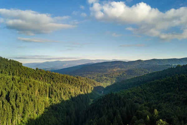 Aerial View Green Mountain Hills Covered Evergreen Spruce Forest Summer — Stock Photo, Image