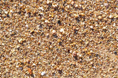 Sarı kumlu ve küçük taşlı kumsalın düz yüzeyi yatıyordu..