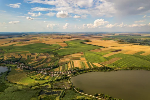 Krajobraz Wiejski Żółtymi Polami Rolniczymi Błękitnym Niebem Białymi Chmurami — Zdjęcie stockowe