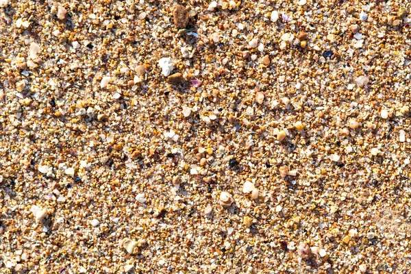 Плоска Поверхня Піщаного Пляжу Жовтим Піском Фоном Дрібних Каменів — стокове фото