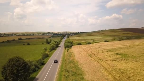 Flygfoto Väg Med Rörliga Bilar Mellan Gula Jordbruk Vetefält Redo — Stockvideo