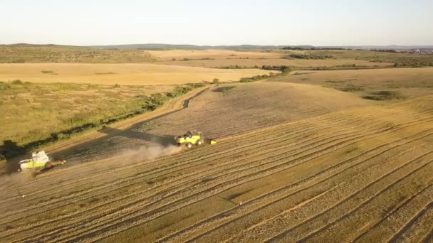 Letecký Pohled Kombajn Sklízející Velké Zlaté Zralá Pšeničná Pole Zemědělství — Stock video