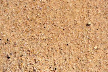 Sarı kumlu ve küçük taşlı kumsalın düz yüzeyi yatıyordu..