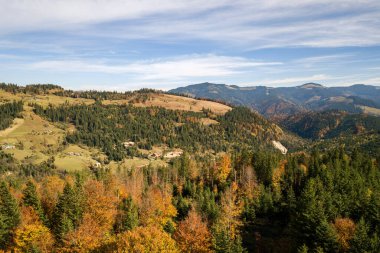 Uçan sonbahar manzarası sonsuz yeşil çam ağaçları ve uzaklıktaki magneztik dağları olan sarı sonbahar ormanı..