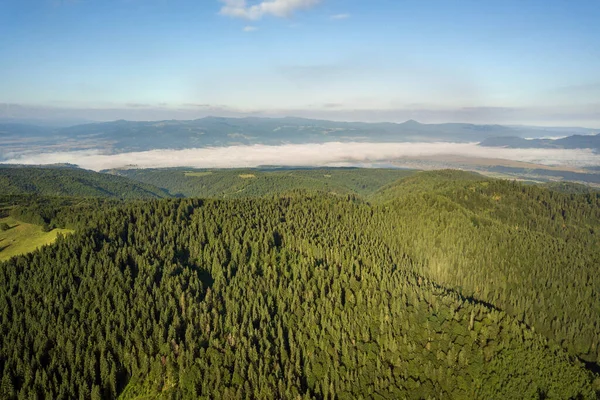 Aerial View Green Mountain Hills Covered Evergreen Spruce Forest Summer — Stock Photo, Image