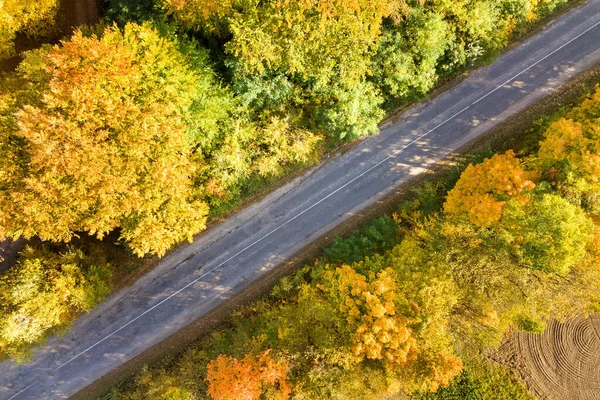 Luchtfoto Van Lege Weg Tussen Gele Bomen — Stockfoto