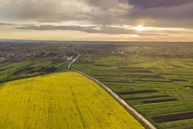 İlkbahar veya yaz günlerinde kırsal manzara. Yeşil, sürülmüş ve çiçekaçan alanlar, ev çatıları ve güneşli şafakta bir yol havadan görünümü. Drone fotoğrafçılığı.