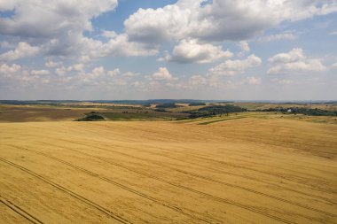 Sarı tarım buğday tarlasının havadan görünüşü yaz sonunda hasat edilmeye hazır..
