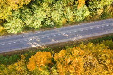 Sarı sonbahar ağaçları arasındaki boş yolun havadan görünüşü.