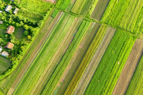 Αεροφωτογραφία Ενός Μικρού Χωριού Κερδίσει Πολλά Σπίτια Και Πράσινα Αγροκτήματα — Φωτογραφία Αρχείου