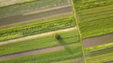 Tohum ekme mevsiminden sonra taze bitki örtüsüyle ilkbaharda yeşil tarım alanlarının havadan görünüşü.