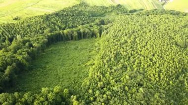 Küresel orman yok etme endüstrisinin sonucu olarak kesilen ağaçlardan oluşan geniş bir alana sahip yeşil yaz ormanlarının yukarıdan görünüşü. Dünya ekolojisi üzerinde zararlı insan etkisi.