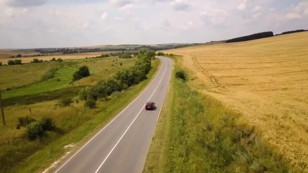 Flygfoto Väg Med Rörliga Bilar Mellan Gula Jordbruk Vetefält Redo — Stockvideo