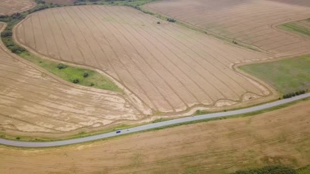 Aerial View Yellow Agriculture Wheat Field Ready Harvested Late Summer — Stock Video
