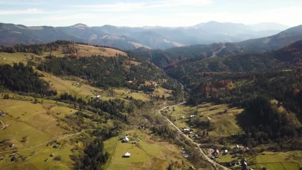 Letecký Pohled Podzimní Horskou Krajinu Věčně Zelenými Borovicemi Žlutým Podzimním — Stock video