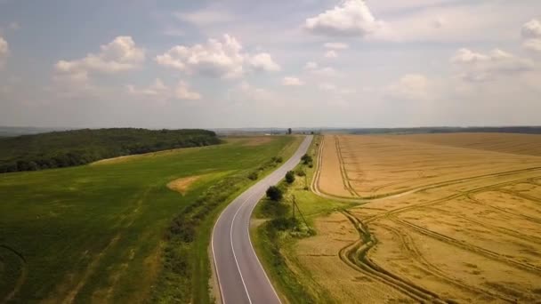 Letecký Pohled Silnici Pohybujícími Automobily Mezi Žlutými Zemědělskými Pšeničnými Poli — Stock video