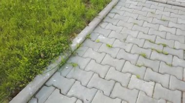 Park veya arka bahçede levha taş döşeli yol yakın çekim. Evin bahçe de Walkway patika yol.