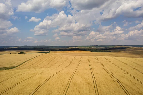 Letecký Pohled Pole Žluté Pšenice Připravené Sklizni Koncem Léta — Stock fotografie